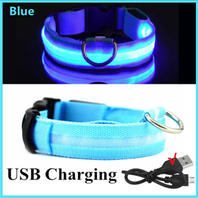 Led Glowing Dog Collar  Luminous Collar Adjustable Night Light  Harness Dog Leash For Girl Small Dogs Cat Pet Safety Accessories