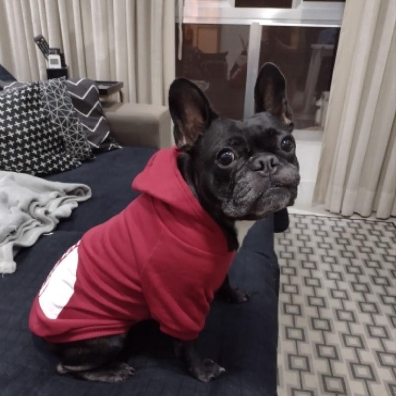 Warm Pet Dog Winter Clothes Dogs Hoodies Fleece Warm Sweatshirt Small Medium Large Dogs Jacket Clothing Pet Costume Dogs Clothes